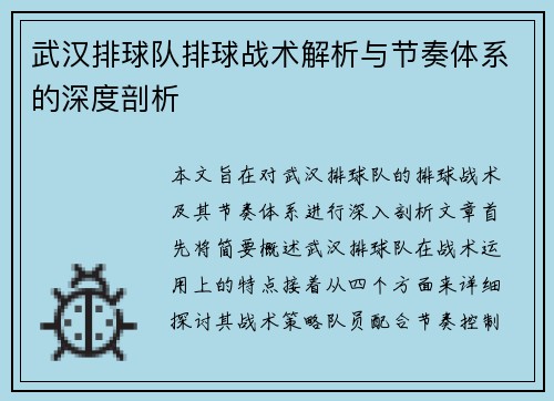 武汉排球队排球战术解析与节奏体系的深度剖析